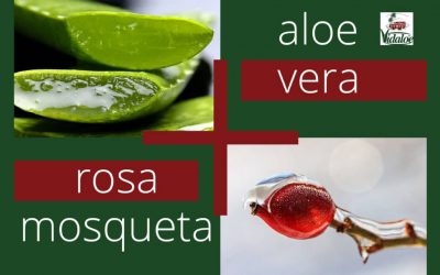 Aloe vera y rosa mosqueta: Una combinación indispensable