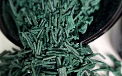 VIDALGAE: La primera Spirulina Ecológica de España cultivada en Canarias