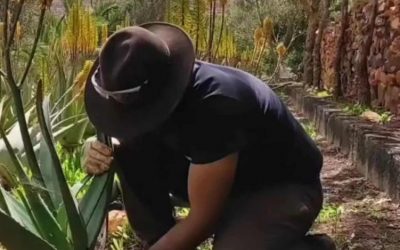 Porque con amor, todo crece.