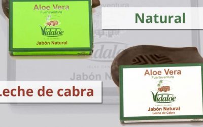 La leche de cabra en nuestra cosmética abriéndose paso