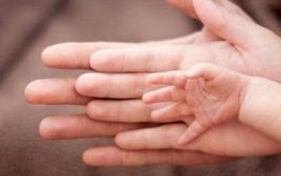 El aloe vera para unas manos sanas